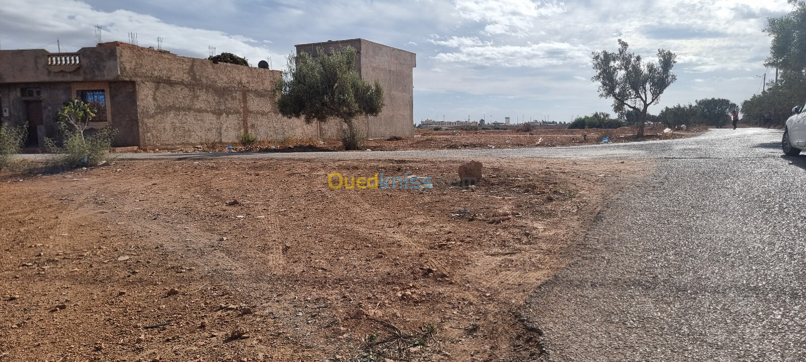 Vente Terrain Tlemcen Zenata