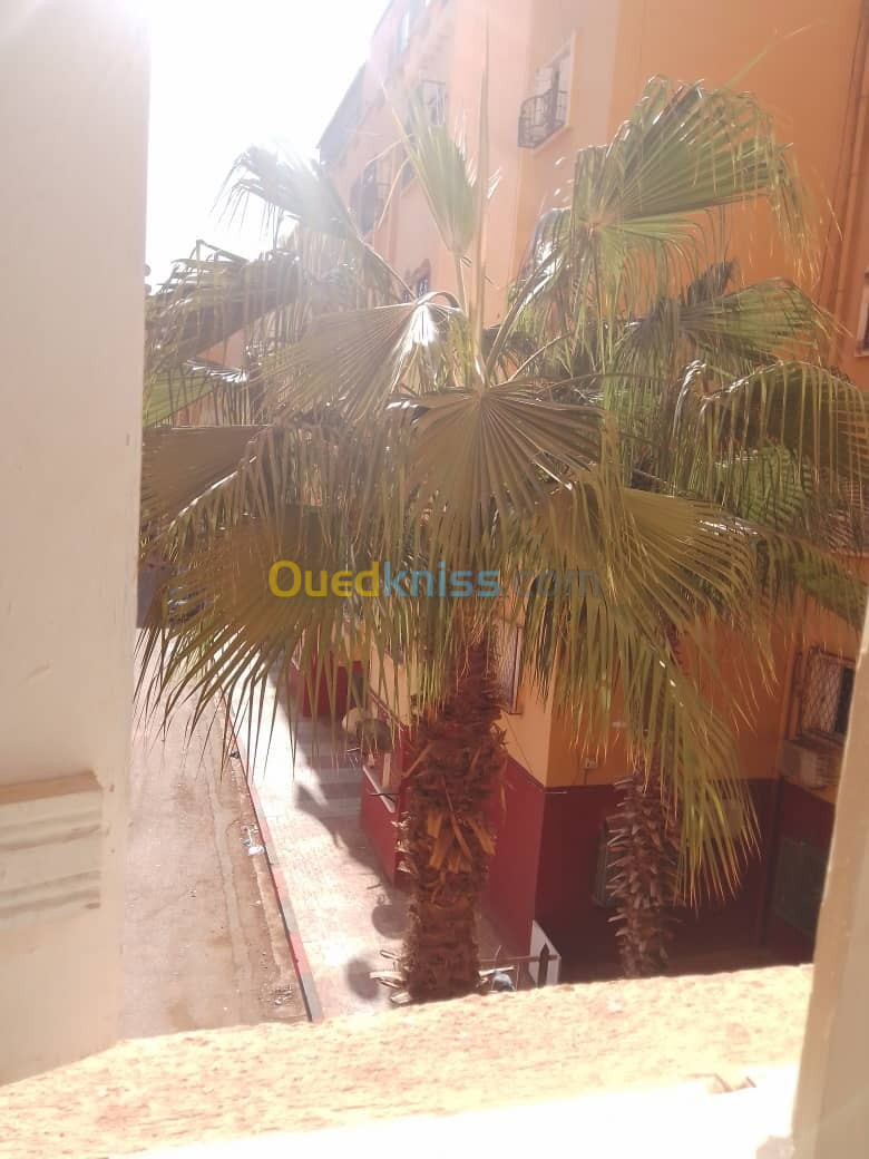 Vente Appartement F3 Alger Alger centre