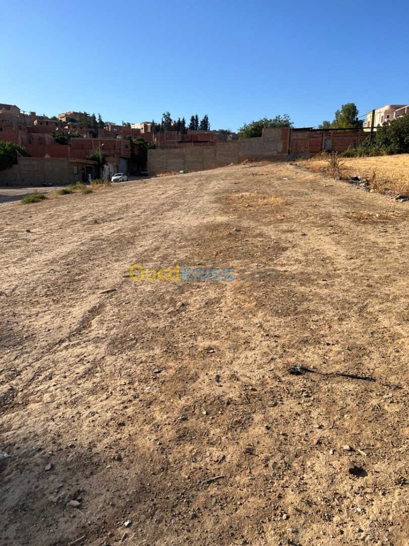 Vente Terrain Chlef Chlef