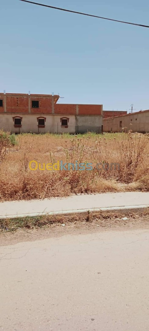 Vente Terrain Chlef Harchoun