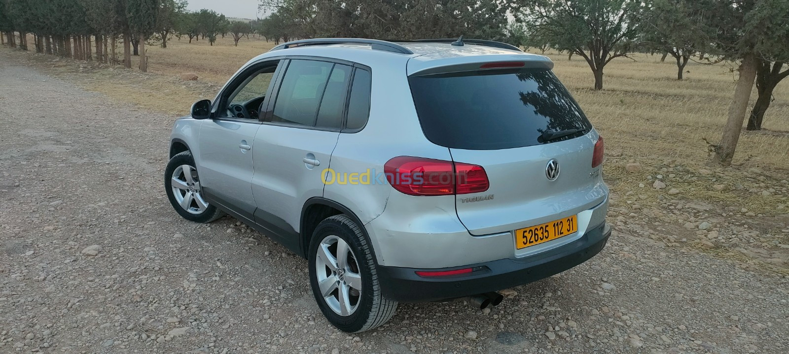 Volkswagen Tiguan 2012 Style