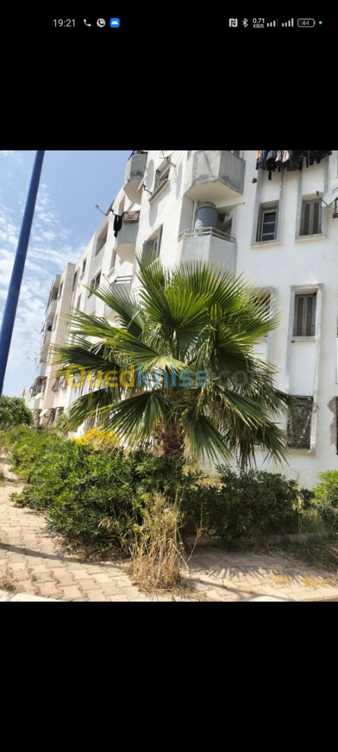 Location Appartement F4 Alger Hraoua