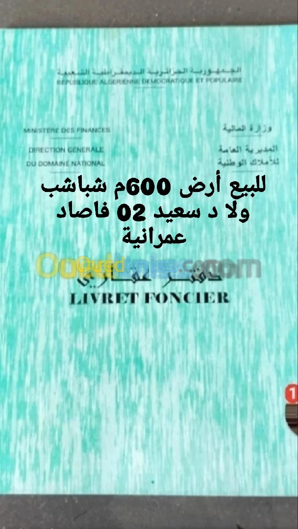 Vente Terrain Alger Rouiba