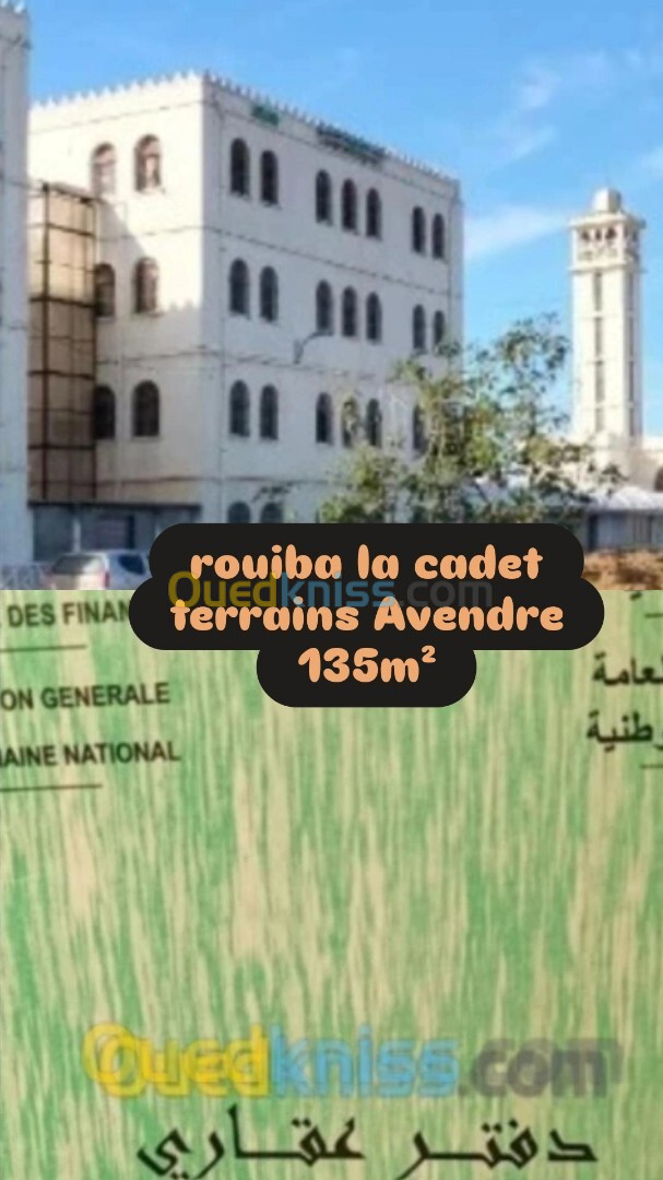 Vente Terrain Alger Rouiba