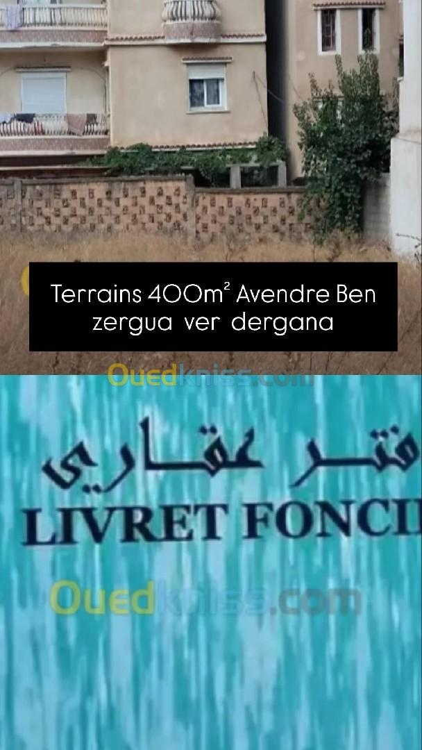 Vente Terrain Alger Bordj el kiffan