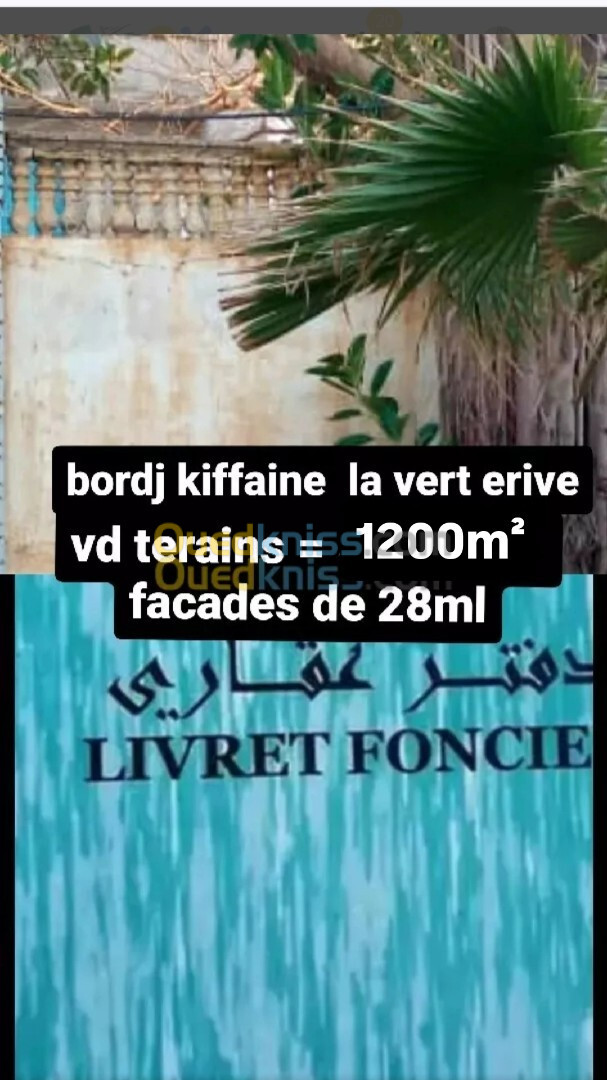 Vente Terrain Alger Bordj el kiffan