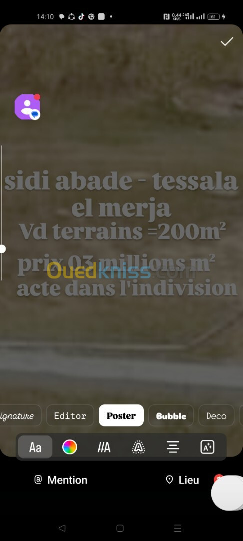 Vente Terrain Alger Tessala el merdja