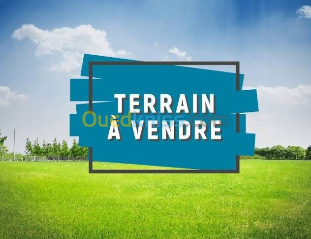 Vente Terrain Ghardaïa Metlilli