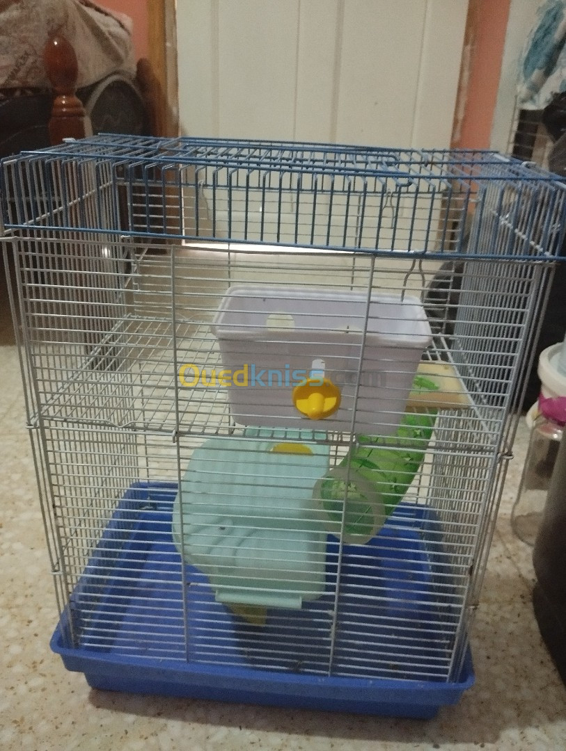 Cages à hamsters 