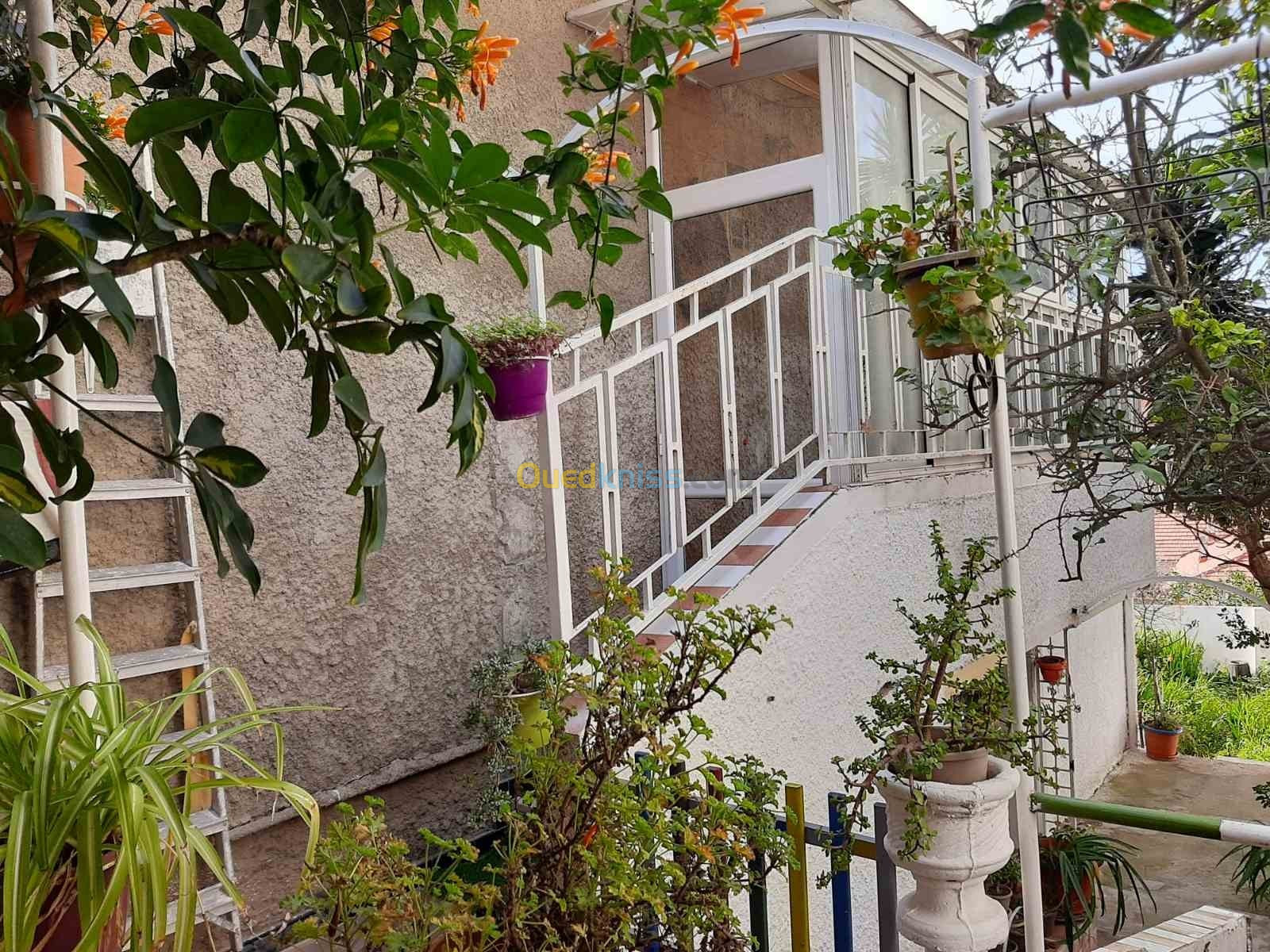 Vente Villa Alger El mouradia