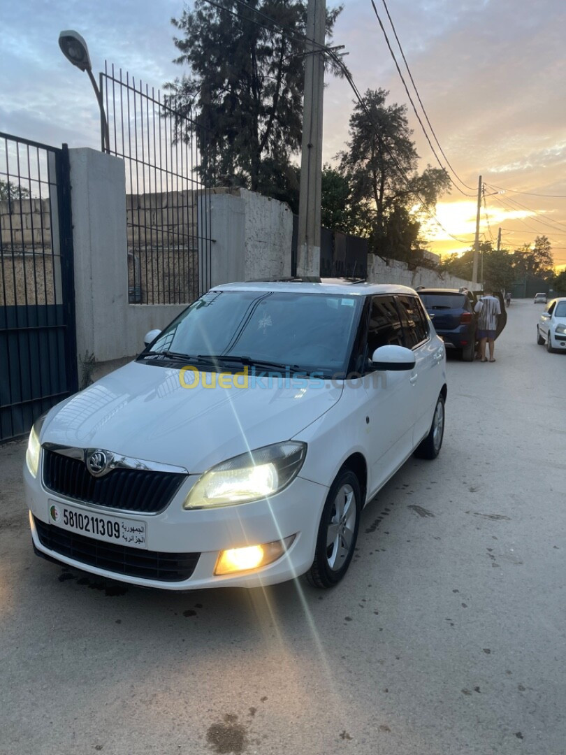 Skoda Fabia 2013 Fresh