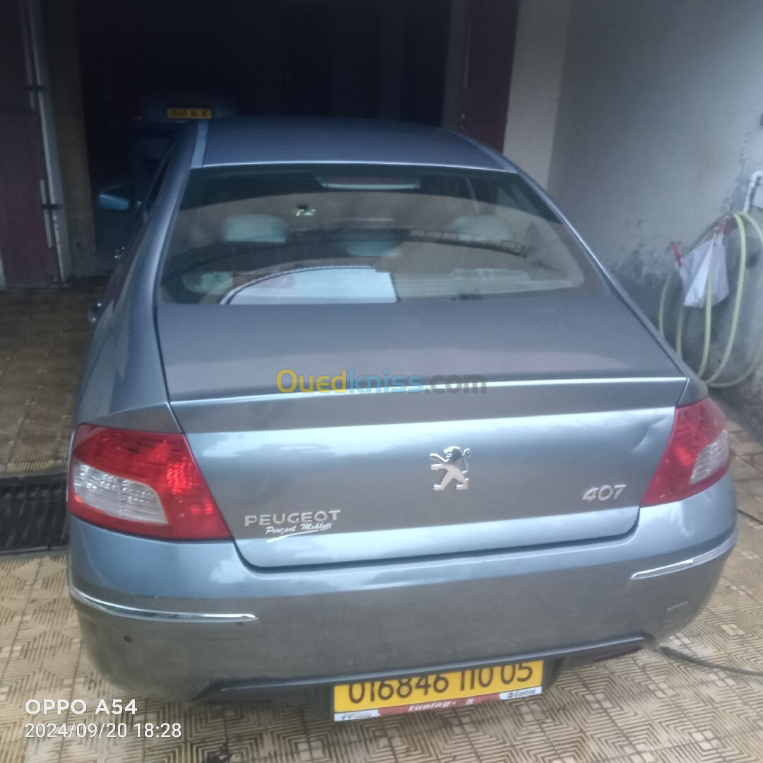 Peugeot 407 2010 407