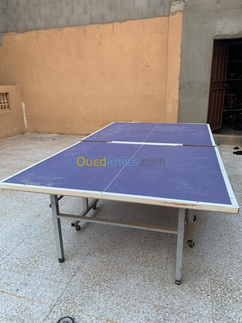 Ping pong table