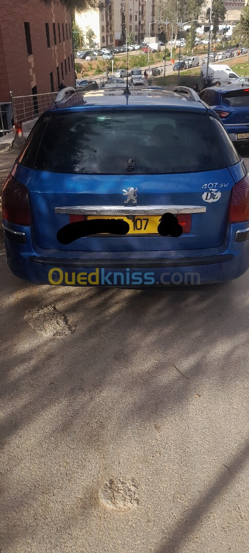 Peugeot 407 SW 2007 407 SW