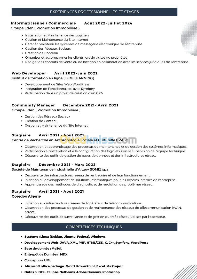 ingénieur en informatique ou commerciale