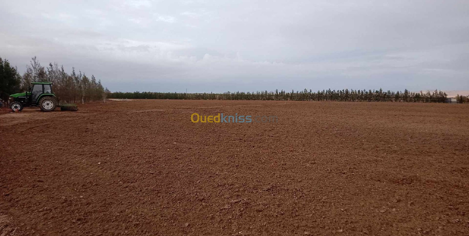 Vente Terrain Agricole Djelfa Hassi bahbah