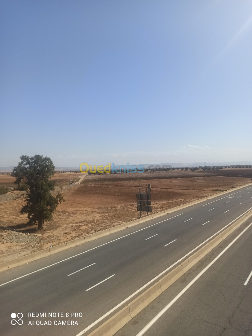 Vente Terrain Agricole Sidi Bel Abbès Sidi ali boussidi