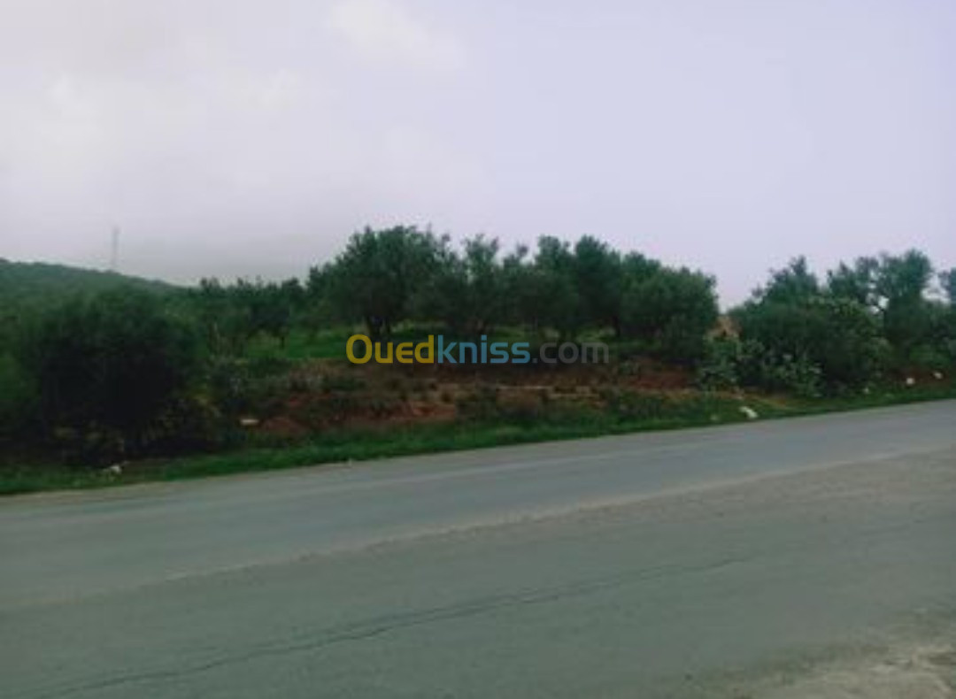 Vente Terrain Bejaia Ouzellaguen