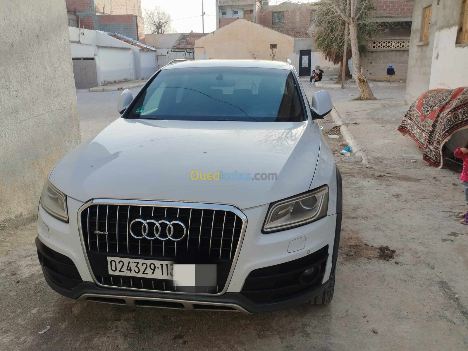 Audi Q5 2013 Offroad