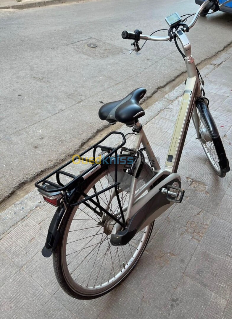 Vélo électrique batavus