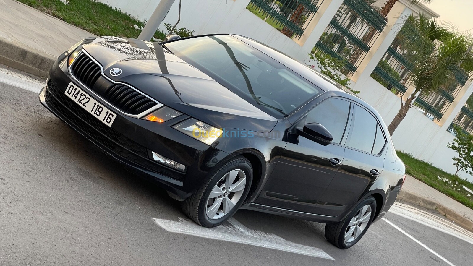 Skoda Octavia 2019 Business