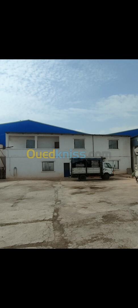 Vente Usine Oran Misseghine