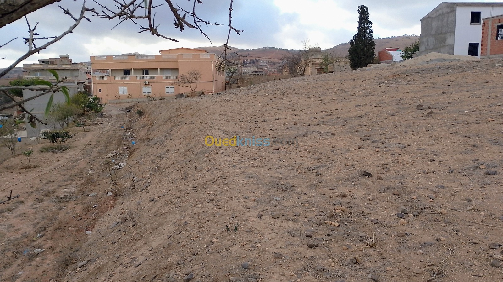 Vente Terrain Tlemcen Dar yaghmouracene