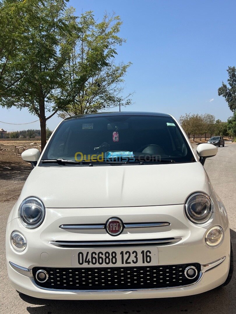 Fiat 500 2023 Clup