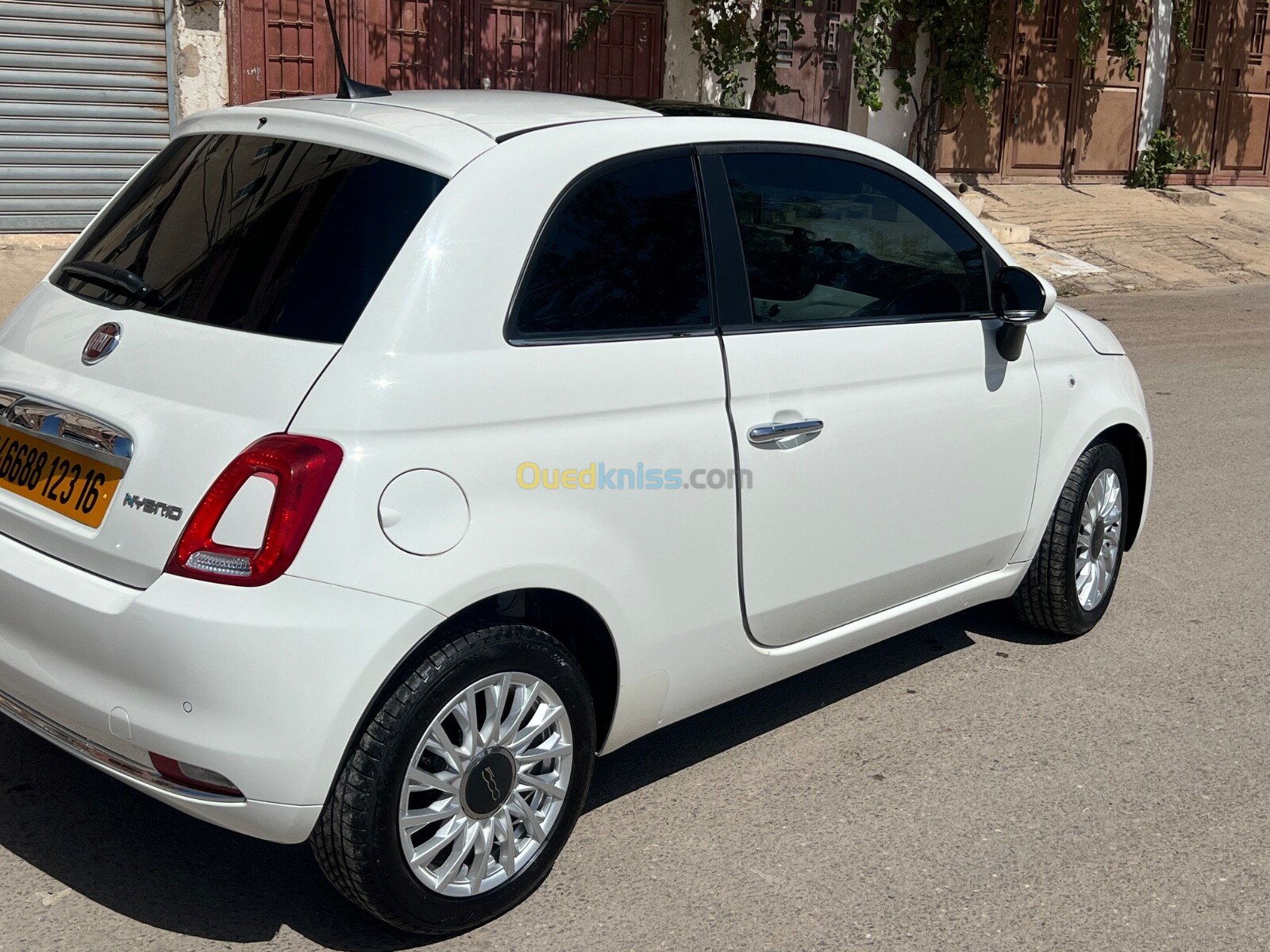 Fiat 500 2023 Clup