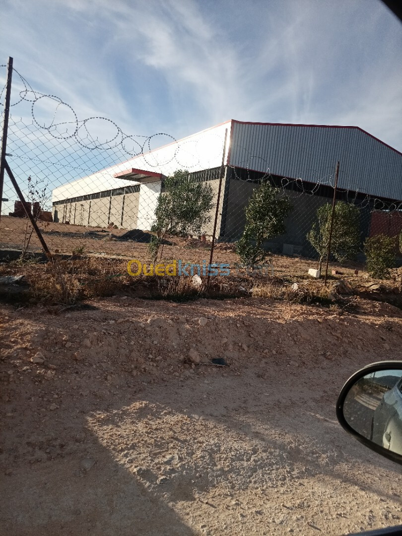 Location Hangar Sétif Guidjel