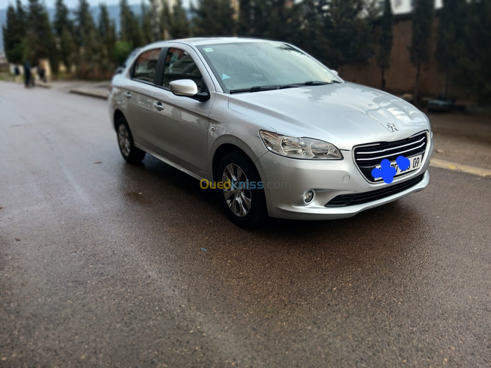 Peugeot 301 2016 Active