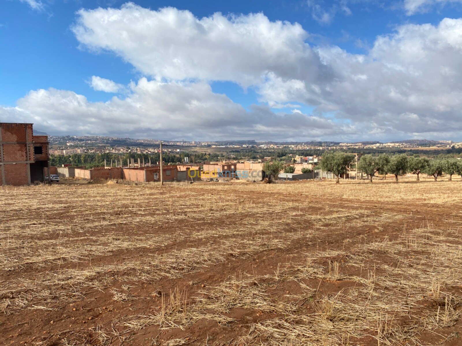 Vente Terrain Tlemcen Chetouane