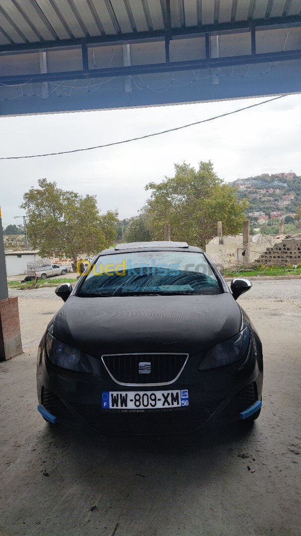 Seat Ibiza 2009 Loca