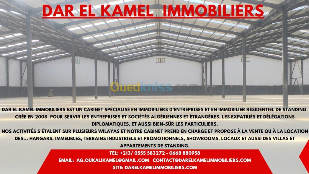 Vente Hangar Blida Boufarik