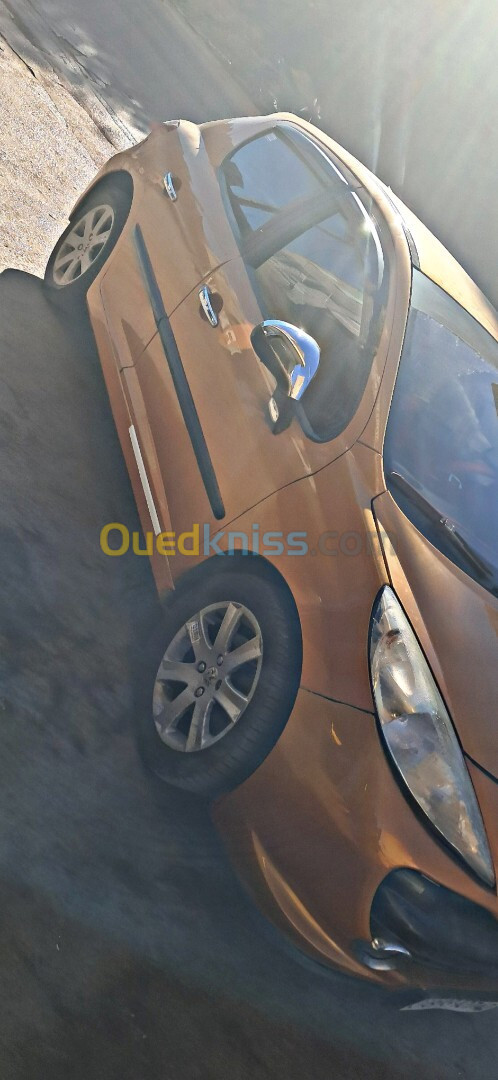 Peugeot 207 2007 Premium