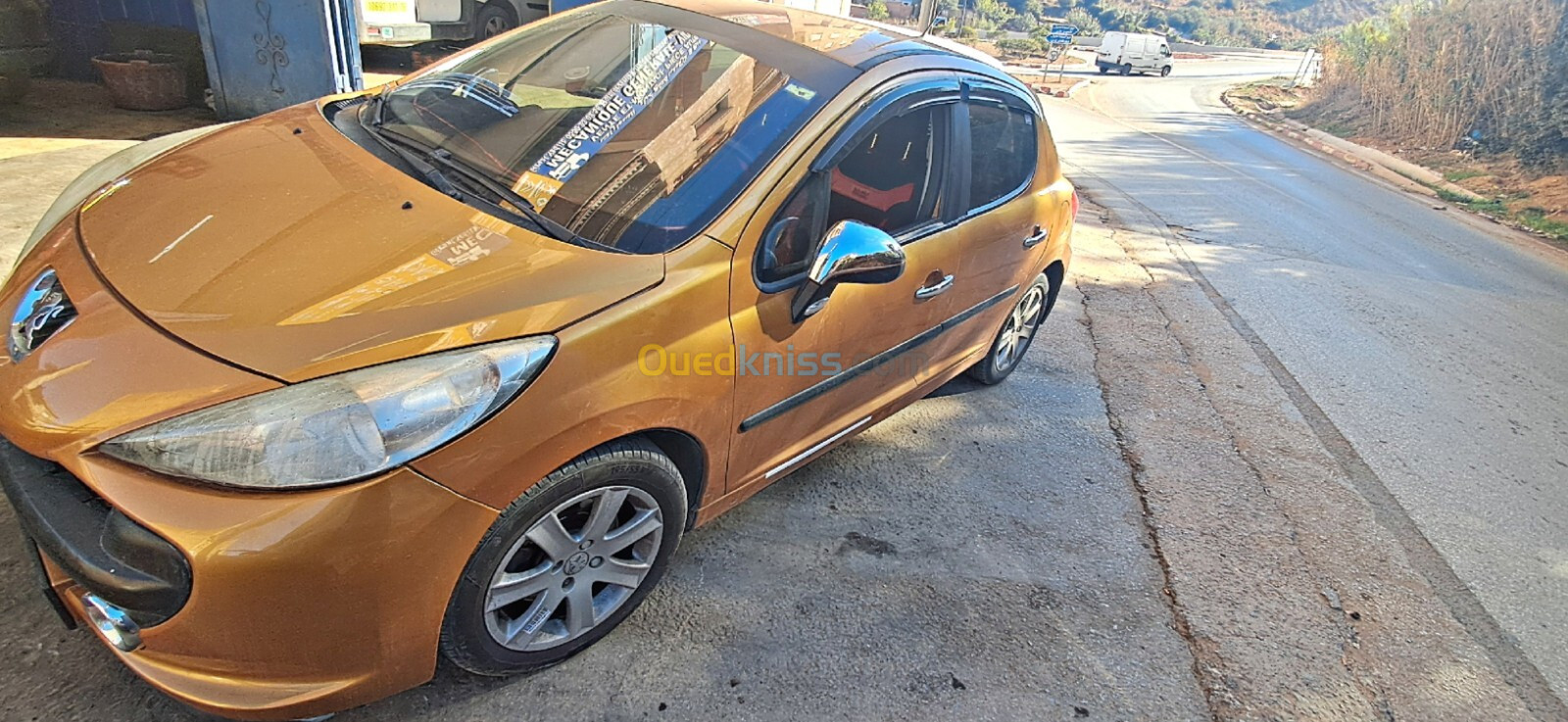 Peugeot 207 2007 207