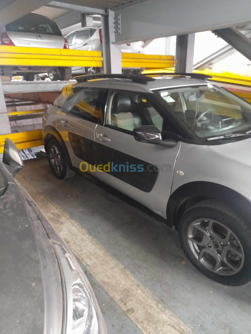 Citroen C4 Cactus 2016 C4 Cactus