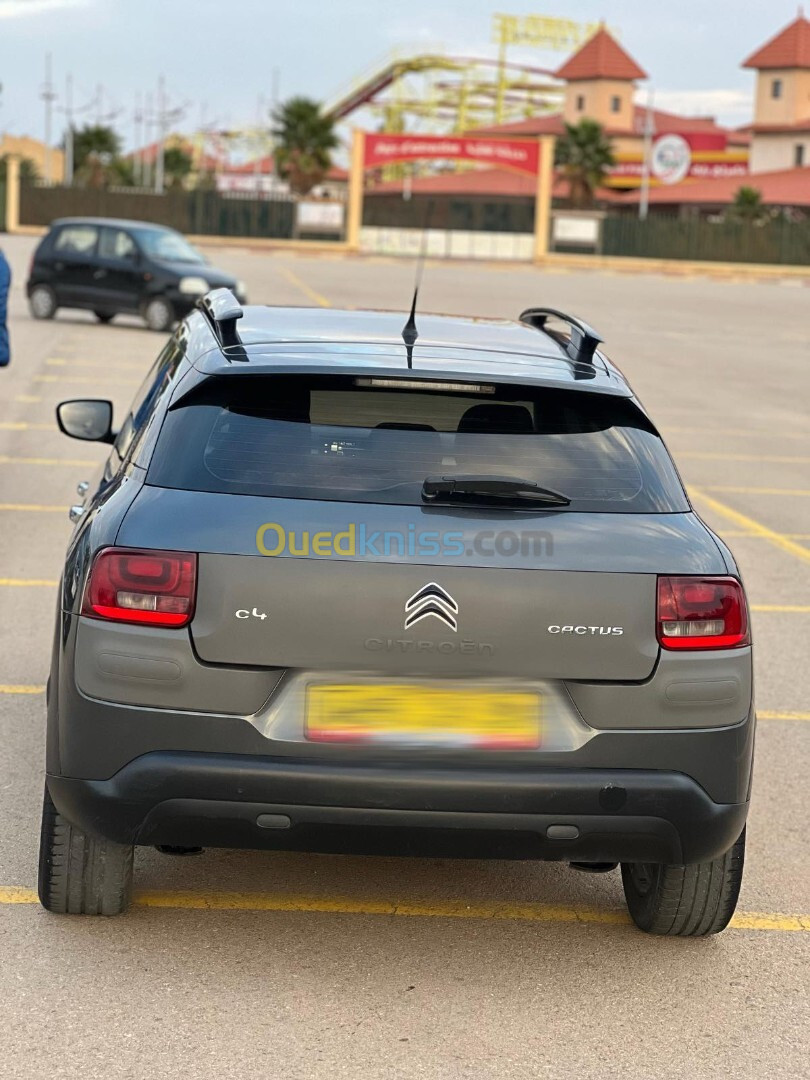 Citroen C4 Cactus 2015 