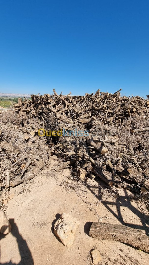 Vente de bois 