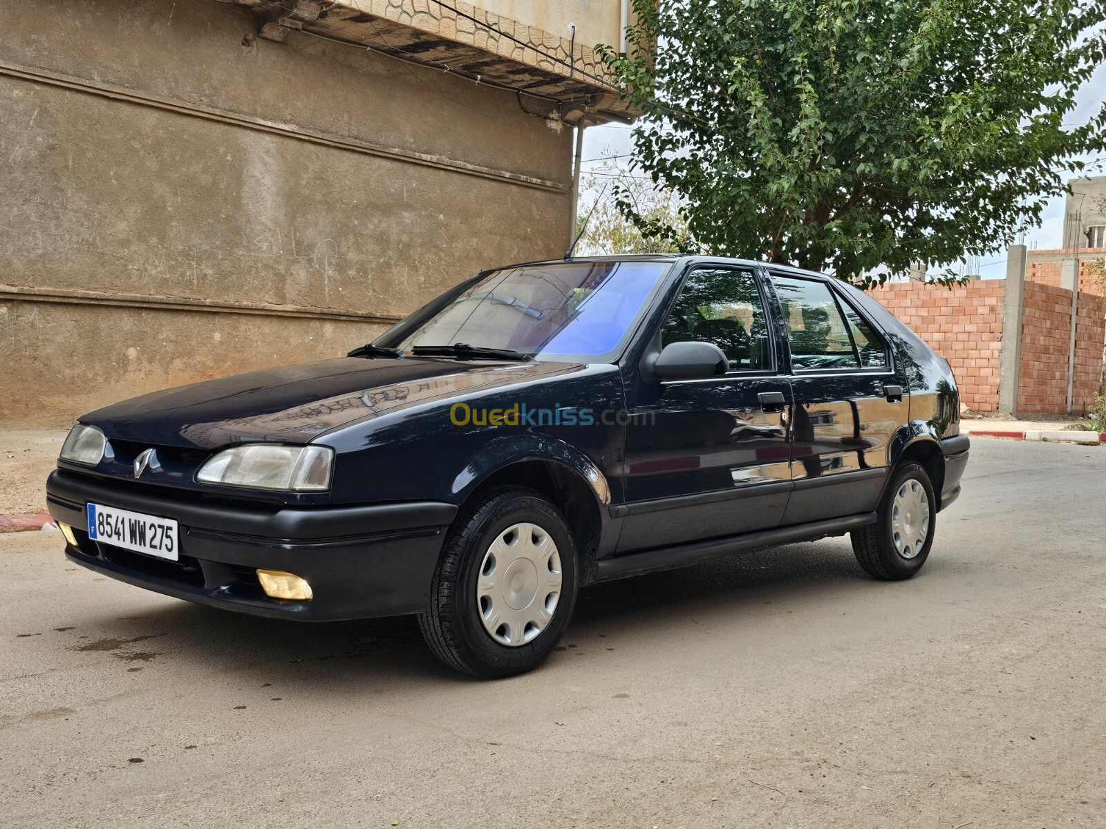 Renault 19 1995 19