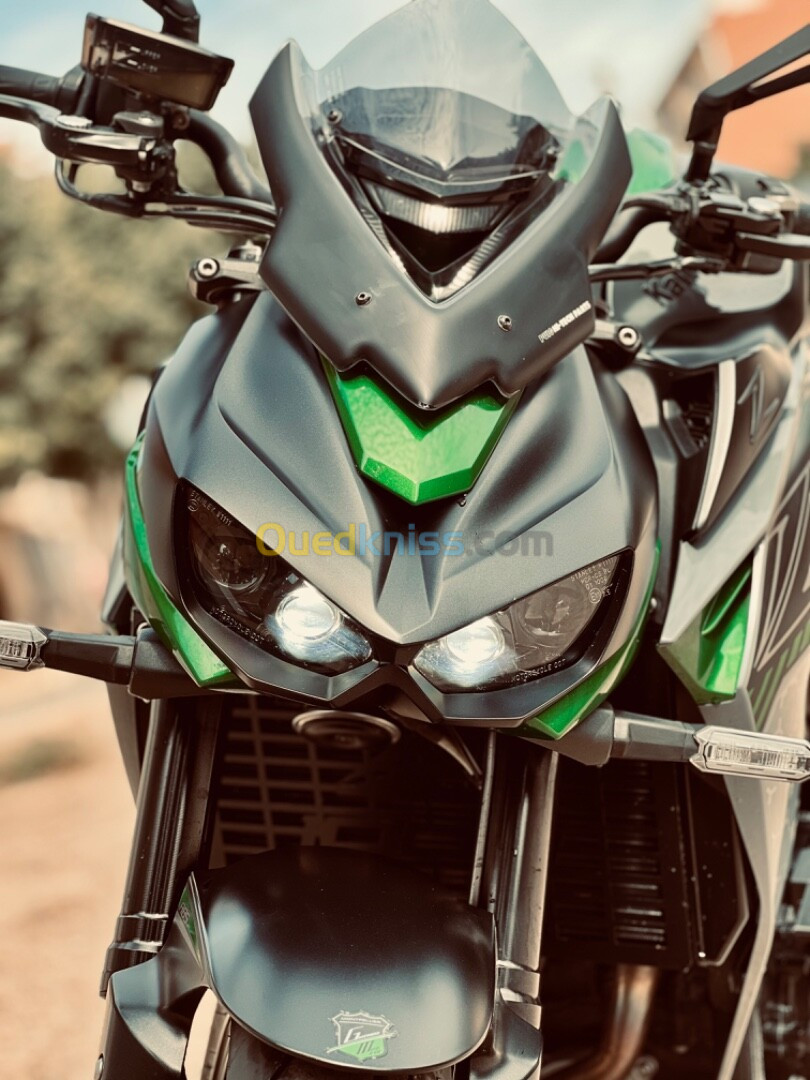 Kawasaki Z1000 2019