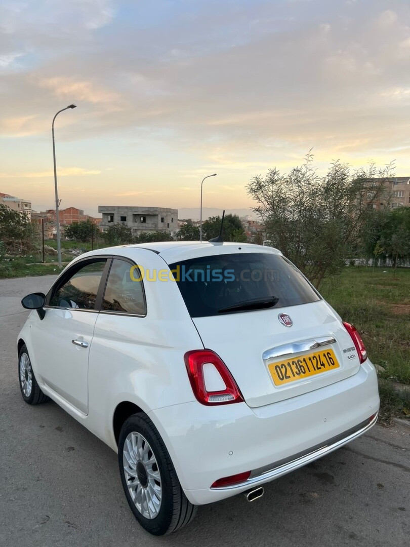 Fiat 500 2024 Club