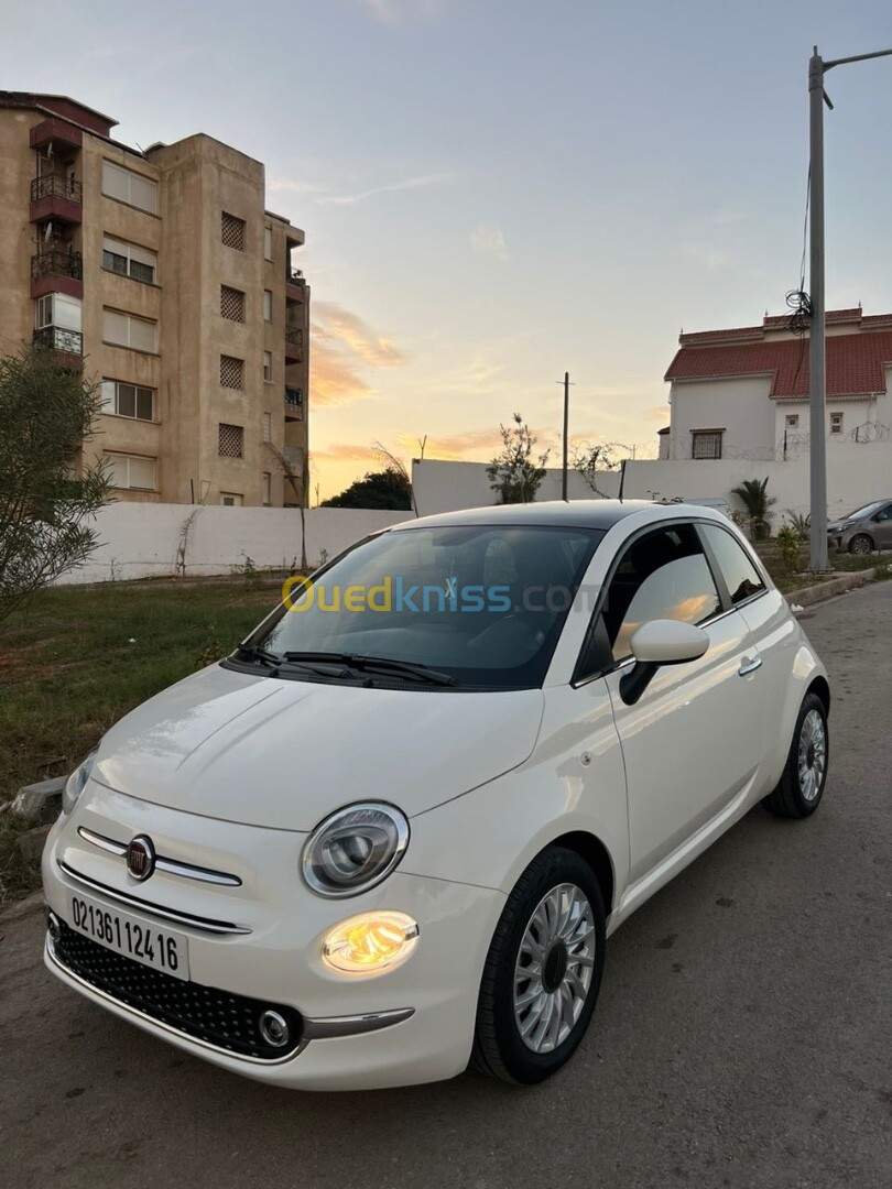 Fiat 500 2024 Club