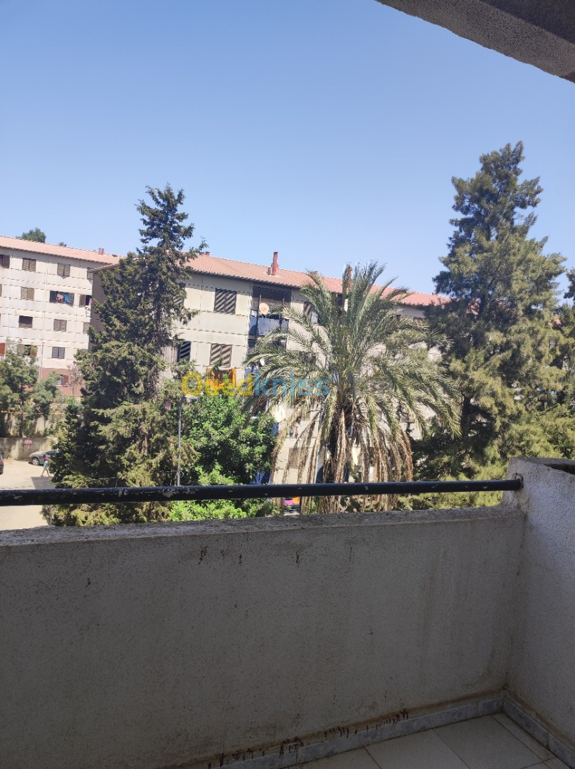 Vente Appartement F3 Alger Dely brahim