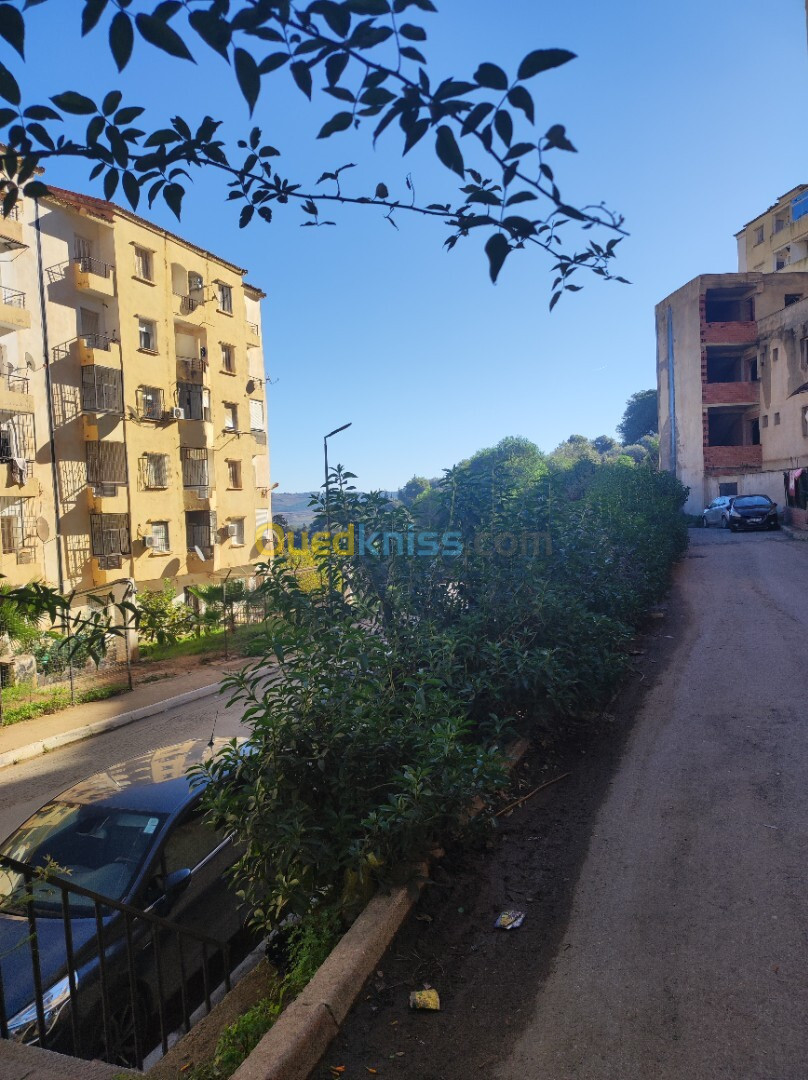 Vente Appartement F3 Tipaza Douaouda