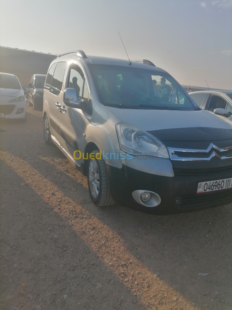 Citroen Berlingo 2011 Berlingo