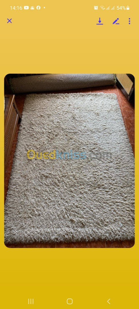 Tapis pour salon  couleur beige et autre verte