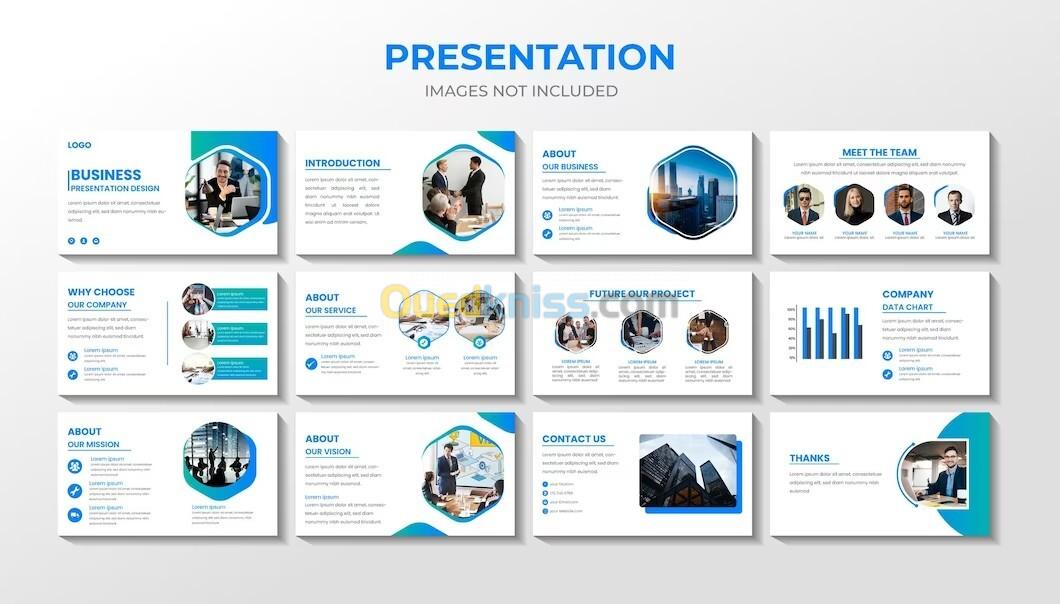 PowerPoint Presentations  Professional 