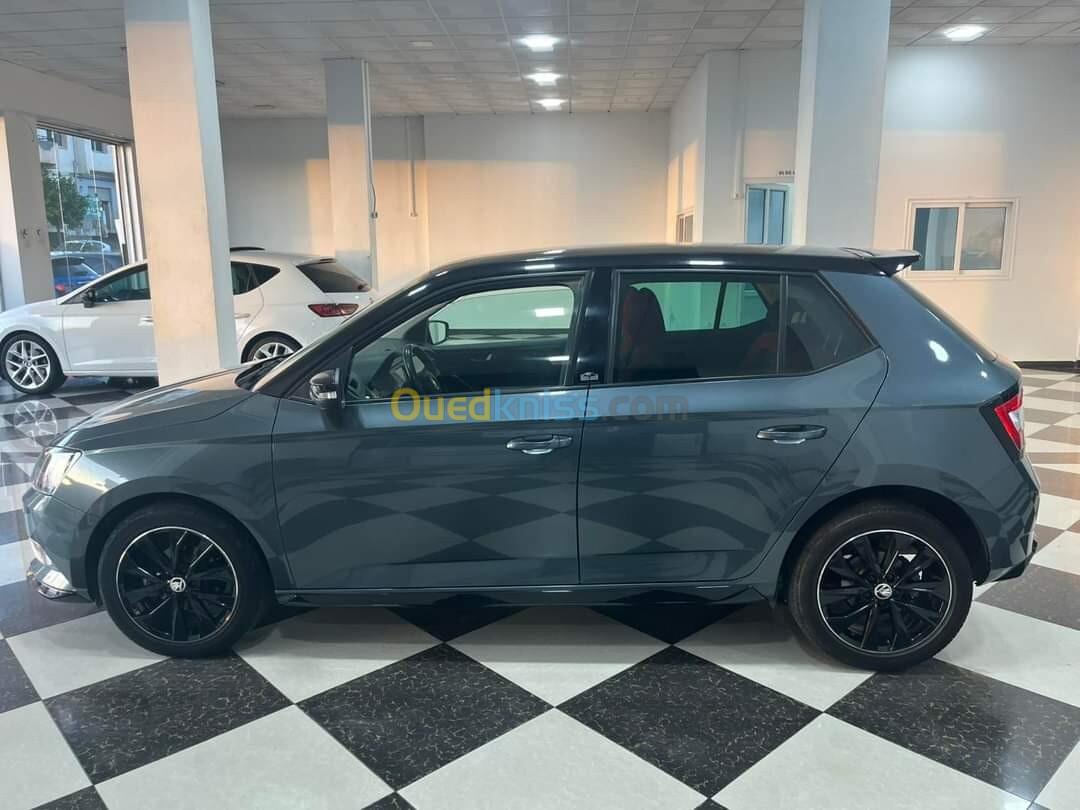 Skoda Fabia 2018 Monte Carlo