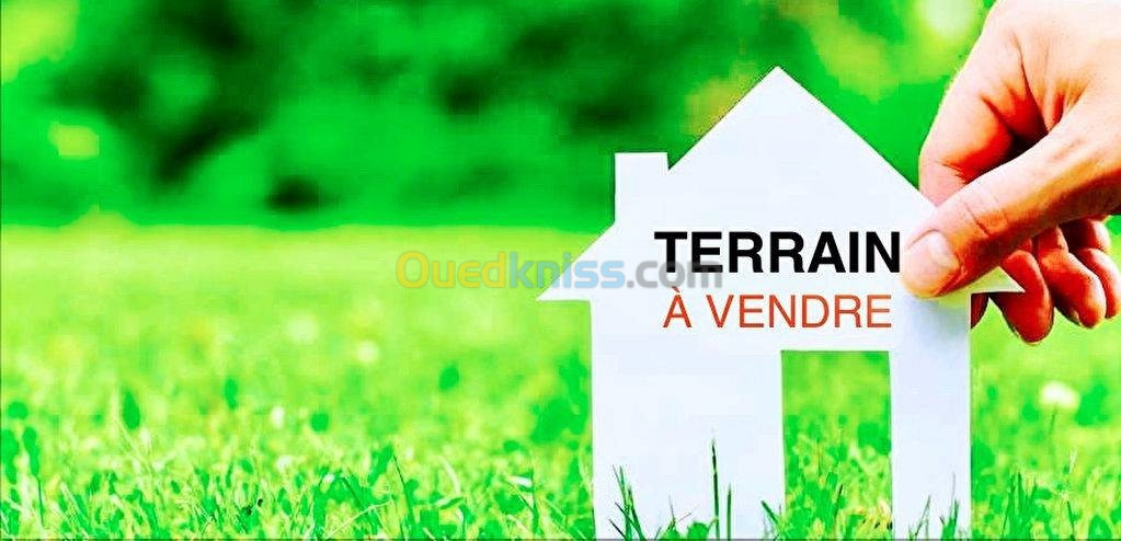 Vente Terrain Tizi Ouzou Tizi ouzou